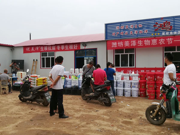 案例展示