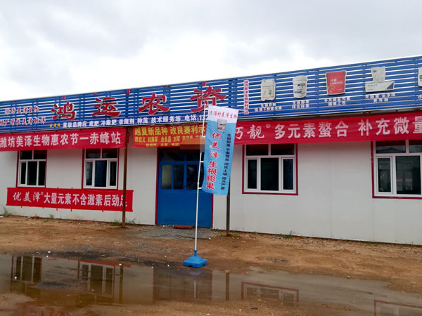 案例展示