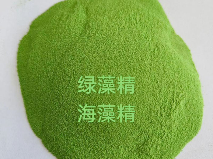绿藻精