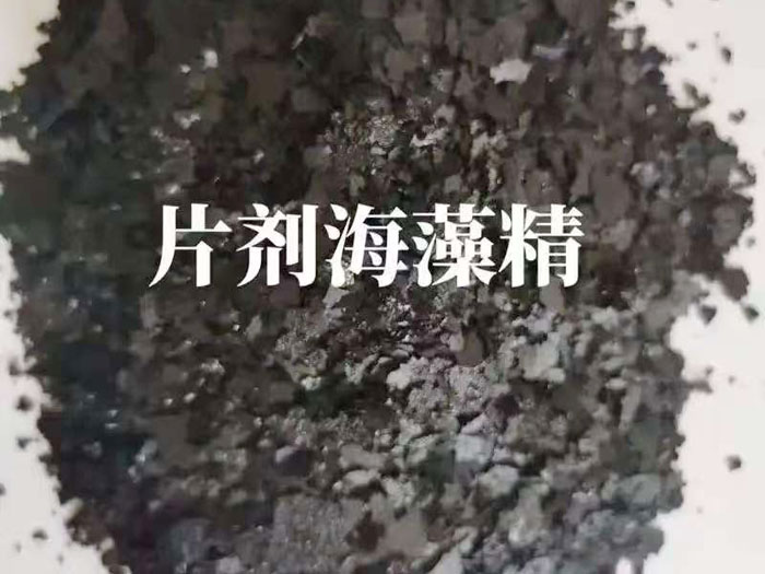 片剂海藻精
